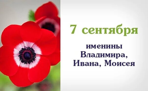 Имя 7 июля. 7 сентября именины. именинники 7 сентября. 7 сентября день ангела. 7 июля именинники.