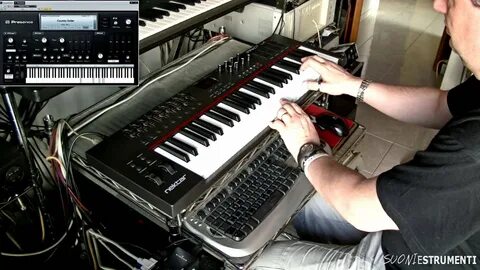 Midi me