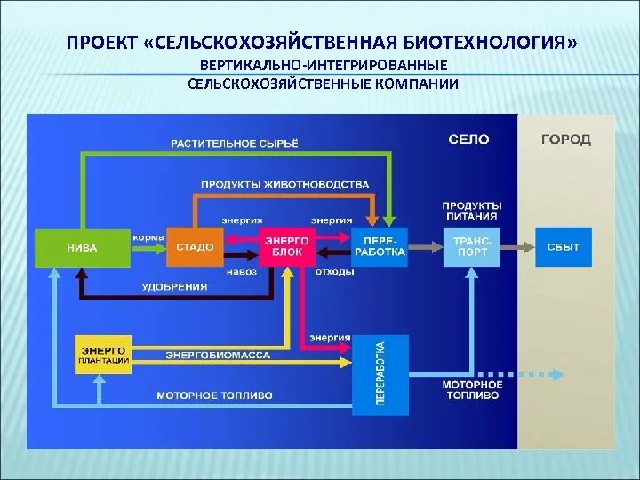 Биотехнология проект. Биотехнологии проект. Основные направления биотехнологии. Биотехнология Сельская промышленность. Сельскохозяйственные биотехнологии презентация.