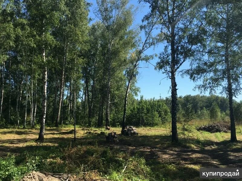 Днт усадьба. Днт царская усадьба. днт усадьба новосибирск. ломовская дача новосибирск. кп царская усадьба новосибирск.