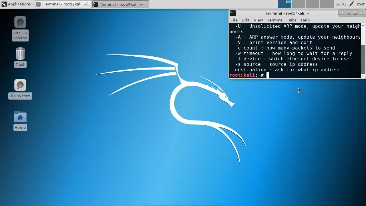 Терминал кали. Kali linux terminal. Kali linux terminal. Терминал кали линукс. Терминал в кали линукс.
