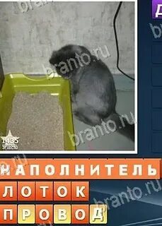 Кот 2 уровень