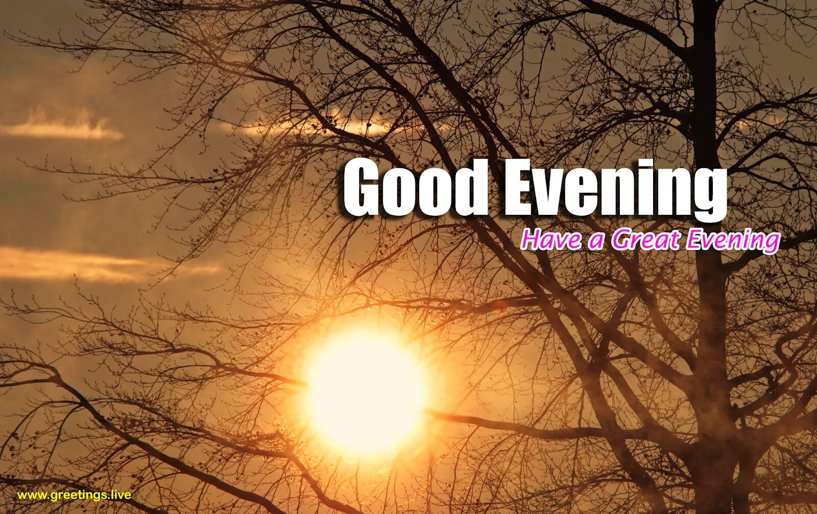 Открытка добрый вечер на немецком языке. Good evening song. Happy evening картинки. Гуд ивнинг. Good evening song.