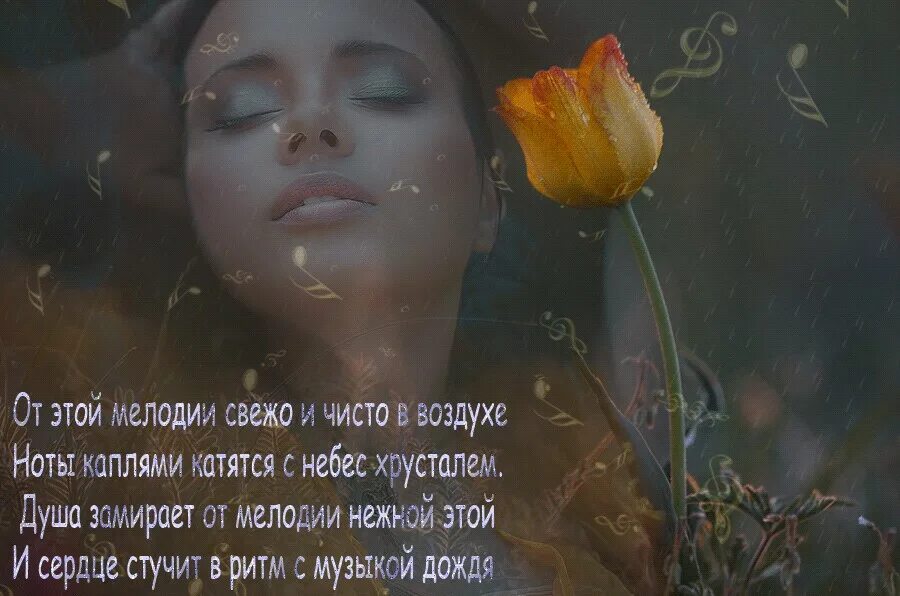 Дождь запах люблю. Душа моя стихи. поэзия моей души. стихи про дождь и любовь. нежность души.