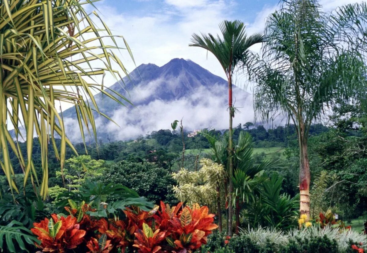 Вулкан Ареналь Коста Рика. Коста Рика природа. Тропические леса Коста Рики. Коста Рика латинская Америка. Виды растений в южной америке