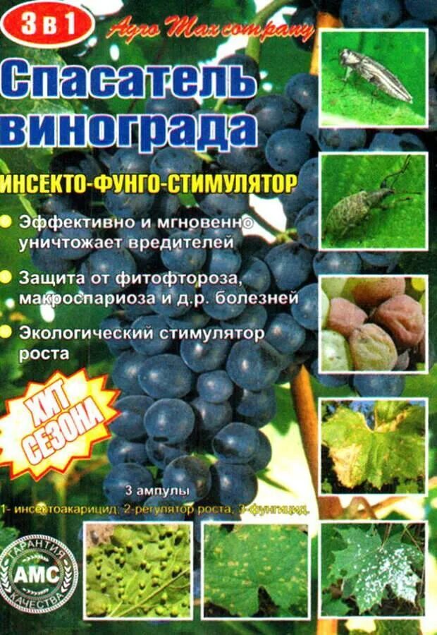 От болезни винограда весной. От болезней винограда препараты для обработки. Препараты для обработки винограда от вредителей и болезней. Препараты для винограда от вредителей. Схема обработки винограда.