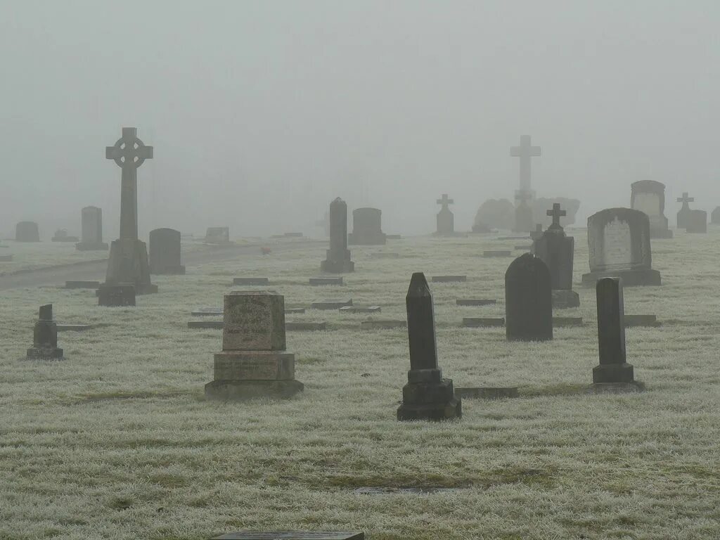 Можно ходить на кладбище во время месячных. Мрачное кладбище. Кладбище в тумане. Кладбище Эстетика. Серое кладбище.
