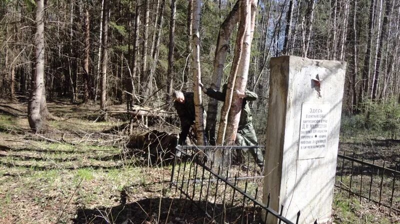 Лес у володи. Леса во время войны. Могилы в Брянск в лесу. Брянский лес во время войны.