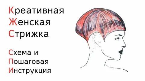 Почему женщина коротко стрижется