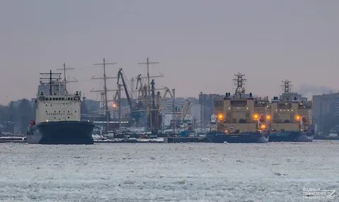 Новороссийск мурманск