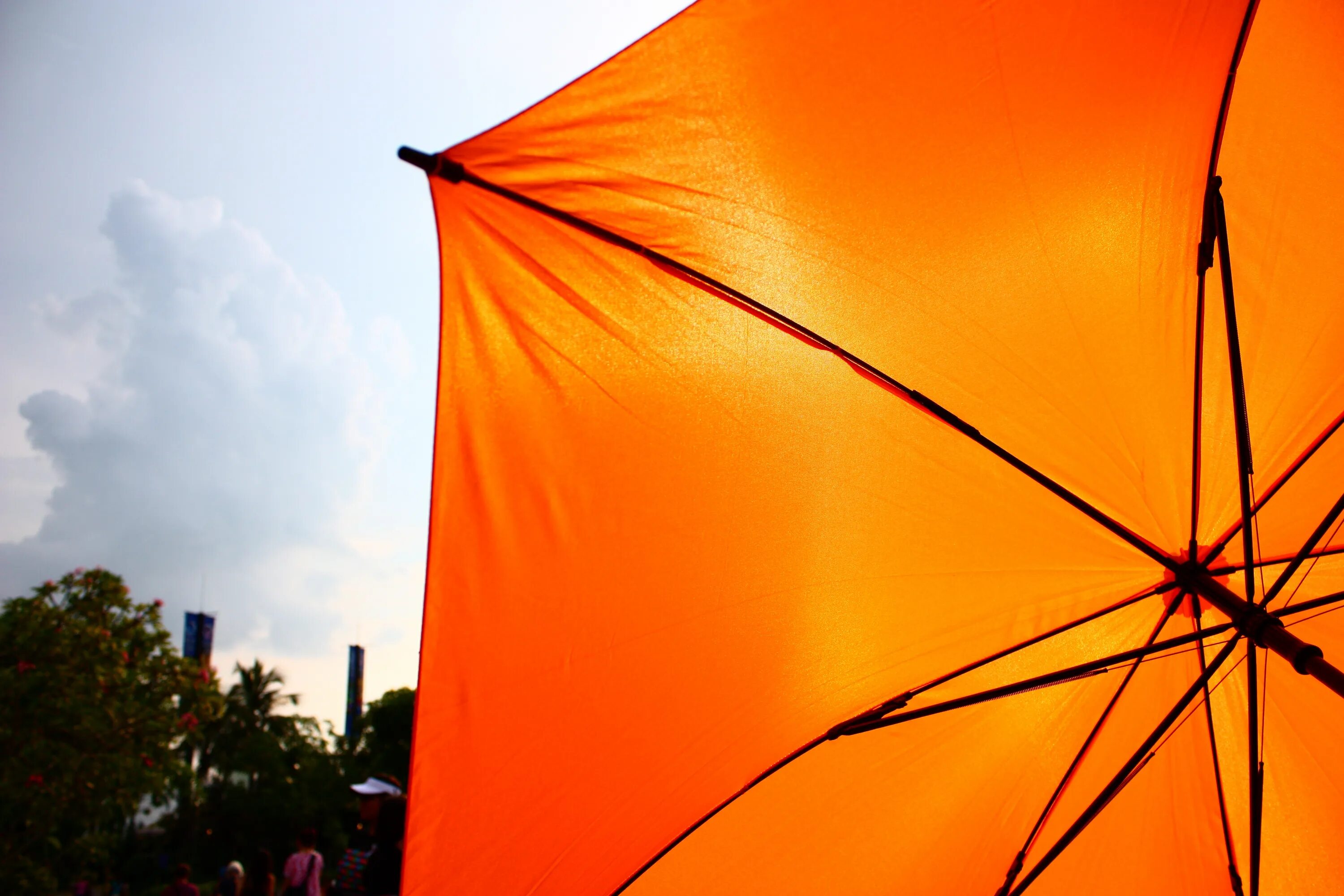 Sun umbrella