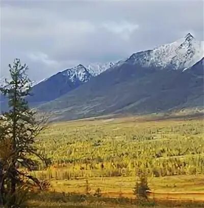 Почему алтайские горы выше чем уральские