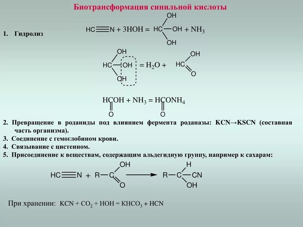 Продукты метаболизма синильной кислоты. Метаболизм синильной кислоты в организме. Гидролиз синильной кислоты. Биотрансформация синильной кислоты. Гидролиз лактида