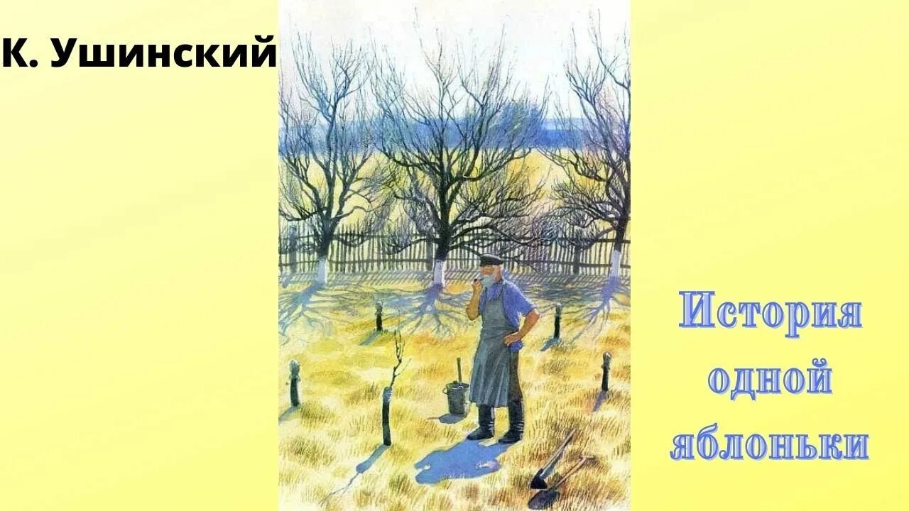 Книги ушинсскогог история одной яб. Ушинского «история одной яблоньки». Ушинский рассказы история одной яблоньки. Ушинский яблонька. История одной яблоньки ушинский.