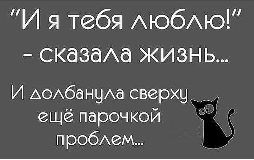 Как говорят жизненно. И Я тебя люблю сказала жизнь и долбанула сверху ещë парочкой проблем. Жизнь подкидывает трудности. Опишите Вашу жизнь материться можно. Я тоже тебя люблю сказала мне жизнь.