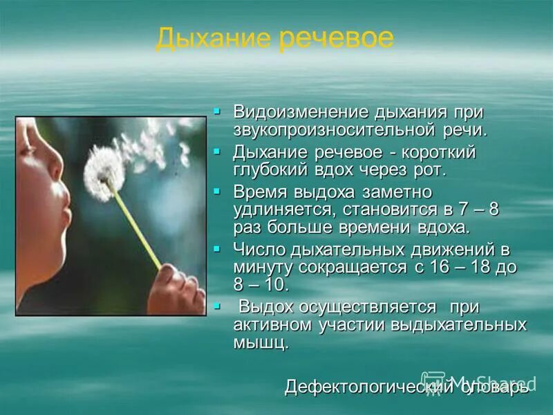 Везикулярное дыхание в норме и патологии. Дыхание с удлиненным выдохом. Вздох или вдох как правильно. Короткий вдох и длинный выдох. Короткий вдох и длинный выдох.