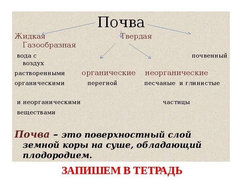 Неорганические вещества в почве. Газообразная часть почвы. Почва жидкая газообразная. Состав почвы неорганические.