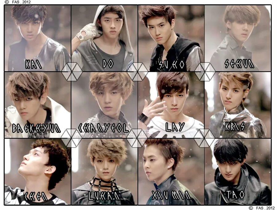 Exo платформа. Группа exo участники имена. эксо участники имена. exo дебют. эхо участники с именами.