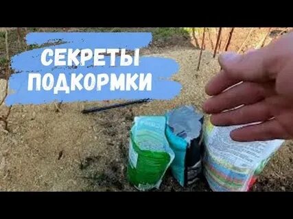 Голубика садовая подкормка осенью