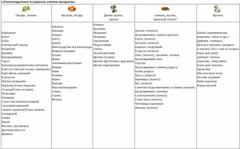 Какие фрукты овощи можно кормящим