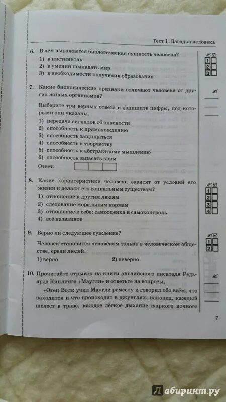 Проверочная работа по обществознанию 6 класс ответы. Обществознание 6 класс тесты.