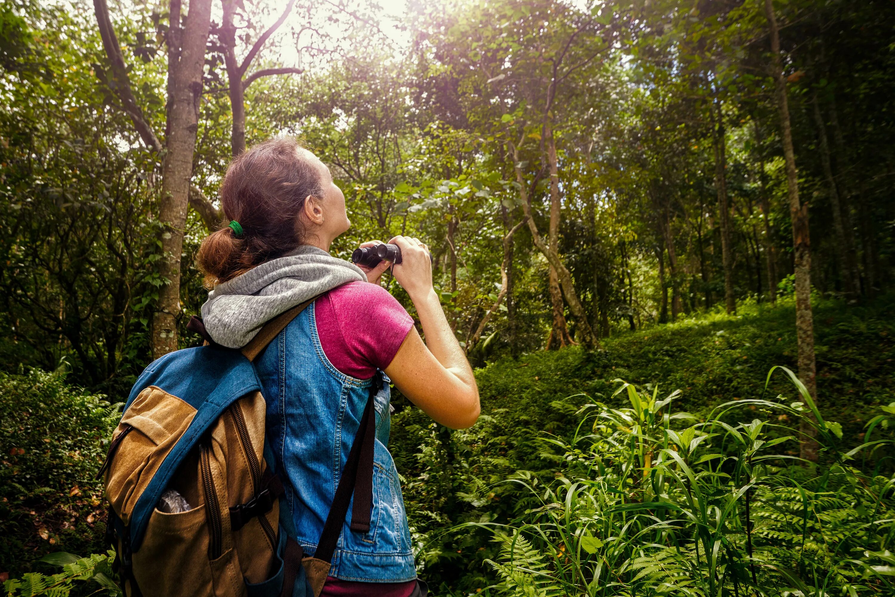 Tourism ecotourism. Экологический туризм. Экотуризм. Туризм в лесу. Туристы в лесу.