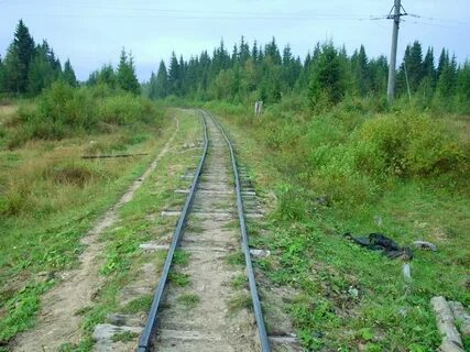 Погода в удимском