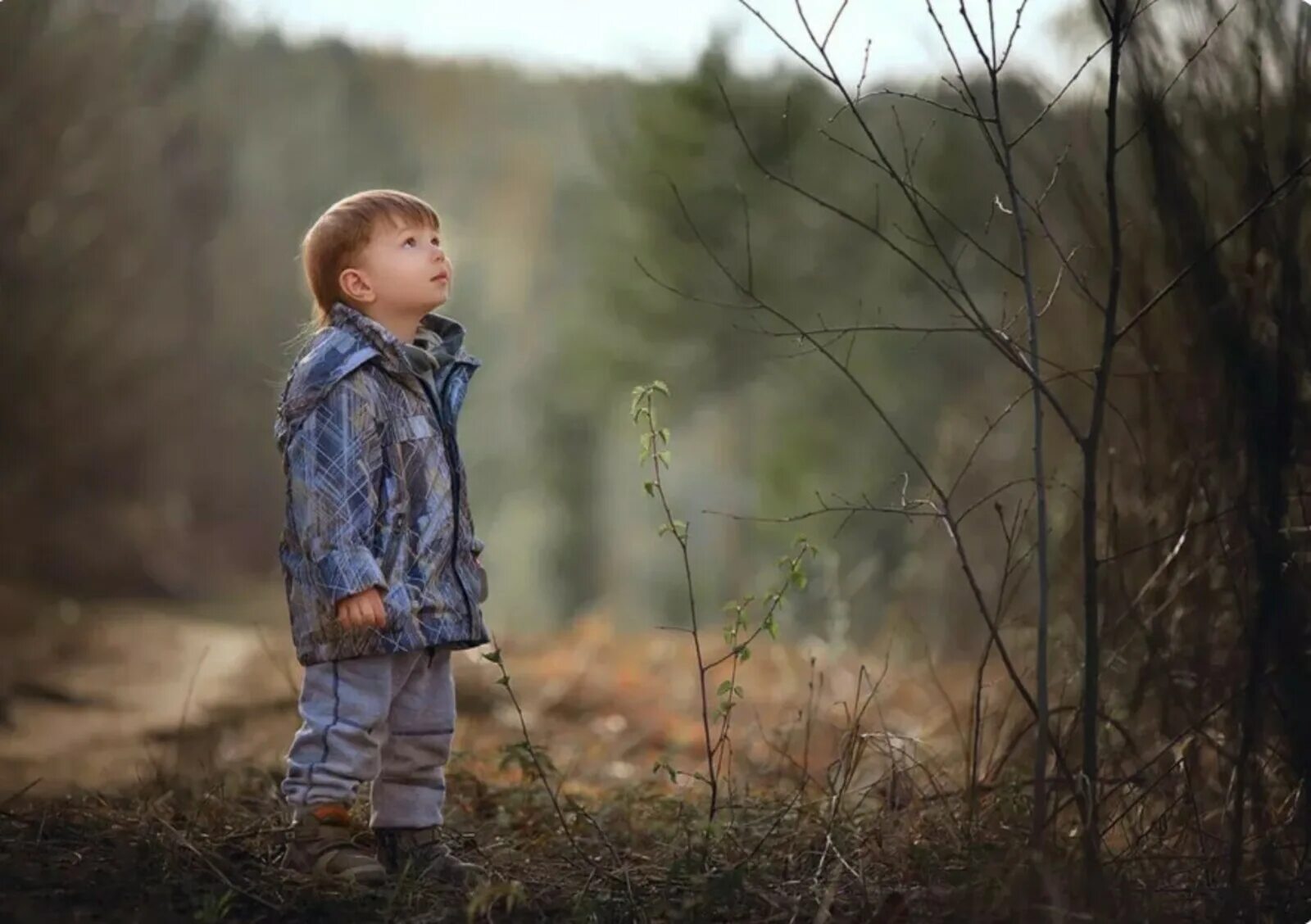 Мальчик в лесу. Маленький мальчик в лесу. Малыши. В лесу. Мальчишки в лесу.