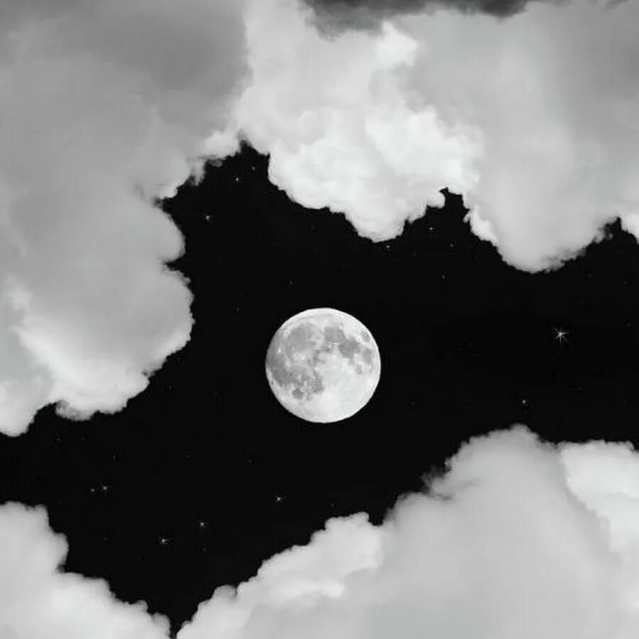 Белая и темная луна. Вода на луне. Белая и темная луна. Эстетика чёрно-белого цвета. Луна в лесу.