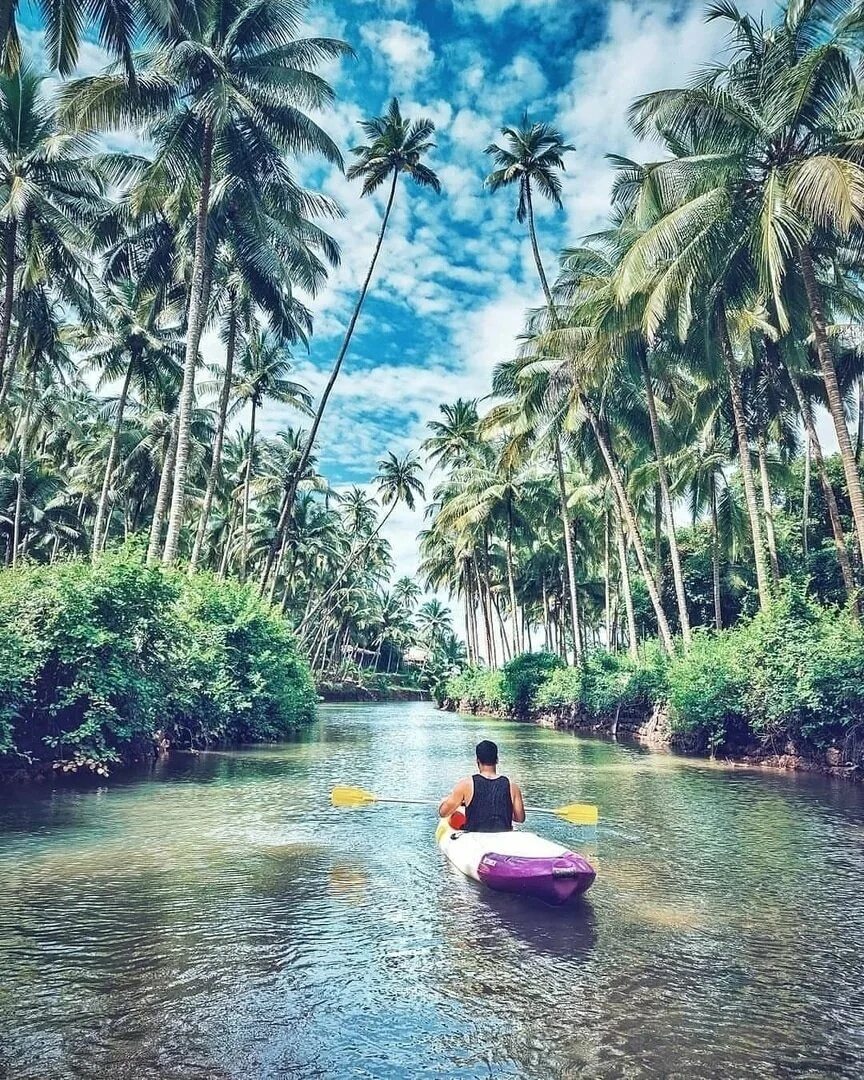 Goa lx9