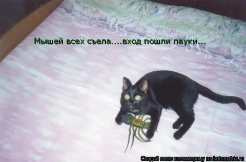 В ход пошли