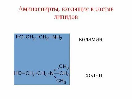 Коламин биологическая роль