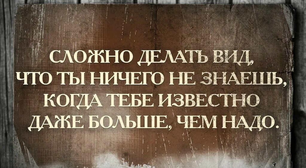 Отдушина это человек. Отдушина для человека. Моя отдушина. Отдушина для души. Отдушина это чувство.