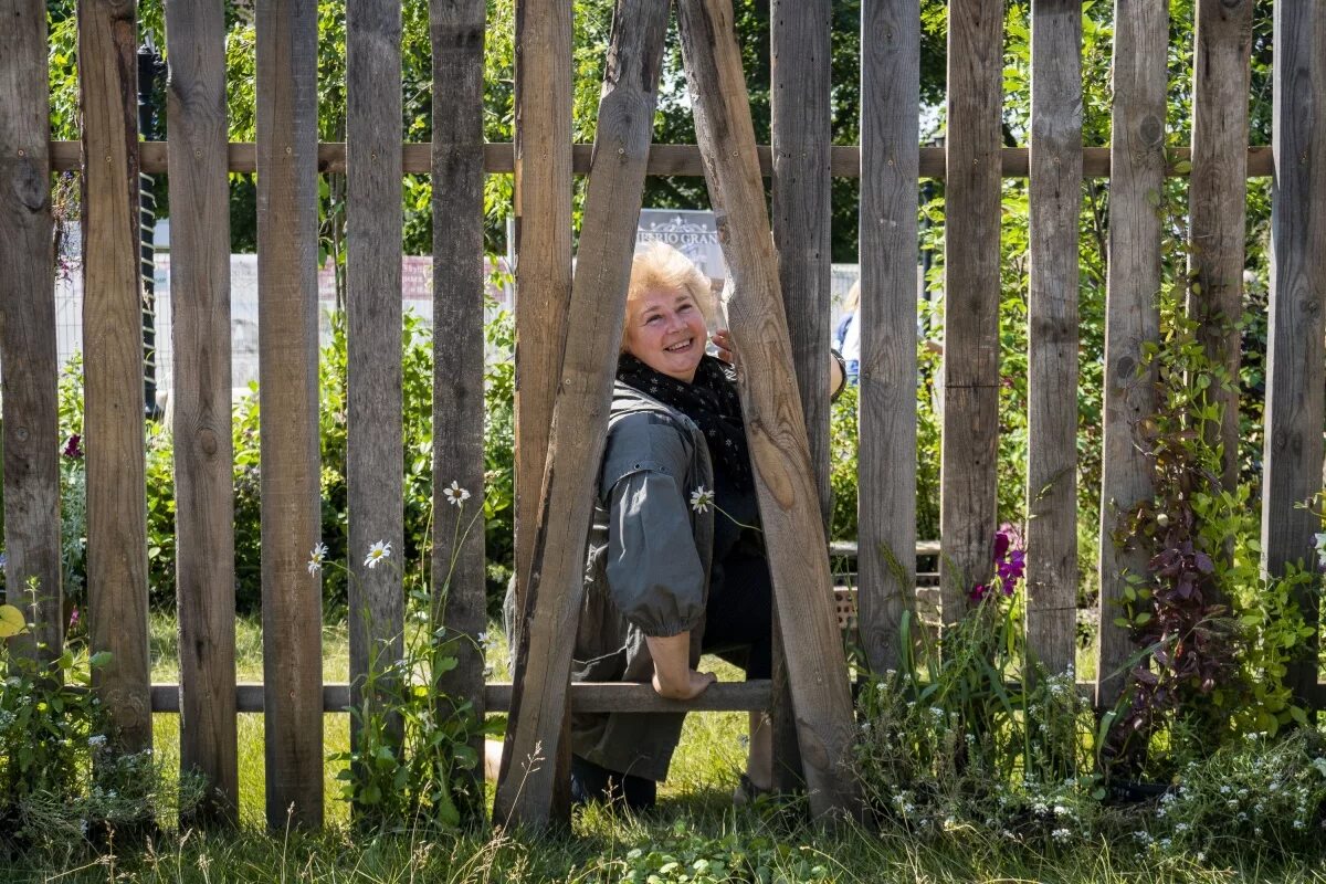 Дырки для подглядывания. Дырка в деревянном заборе. Щель в заборе. Забор для детей. Изгородь для детей.