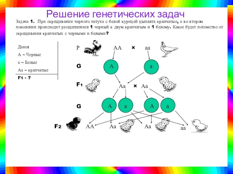 Расщепление при дигибридном скрещивании в f2. Составить принципиальную схему моногибридного скрещивания. Анализирующее скрещивание при дигибридном. Принципиальная схема дигибридного скрещивания. Расщепление при анализирующем дигибридном скрещивании.