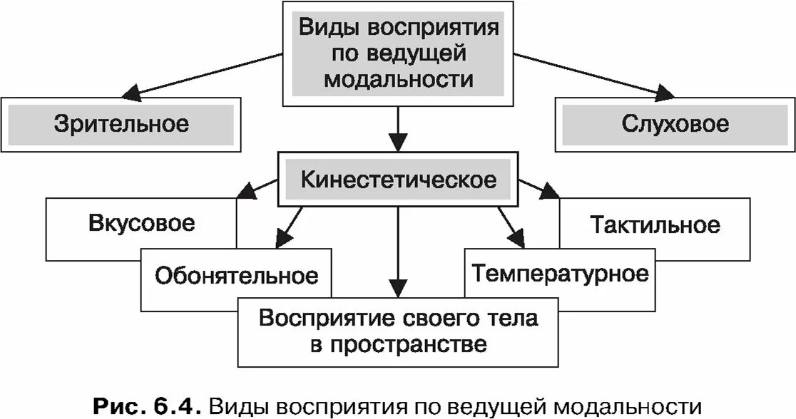 Слуховое восприятие форма восприятия. Типы модальностей восприятия. Виды модальности в психологии. Модальности восприятия в психологии. Тип ведущей модальности восприятия схема.