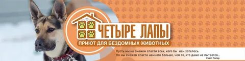 4 лапки приют для животных