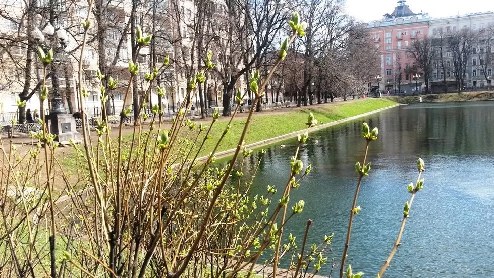 патрики патриаршие пруды. москва патриаршие пруды. сквер патриаршие пруды. патриаршие пруды москва 2023. патриаршие пруды москва.