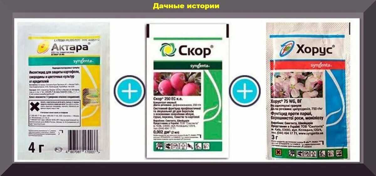 При какой температуре работает скор и хорус. Препарат актара+хорус. актара плюс топаз. актара хорус циркон. хорус+топаз и актара.