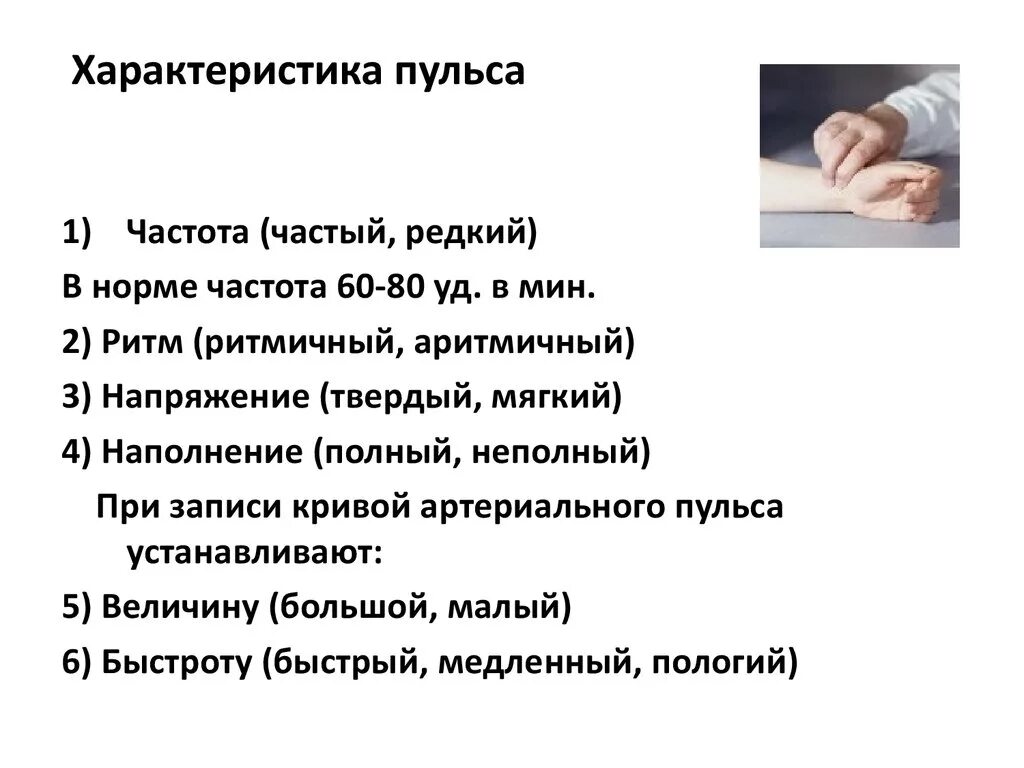 Характеристика нормального пульса. Основные характеристики артериального пульса. Пульс характеристика свойства пульса. Основные характеристики пульса 5.