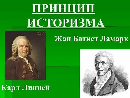 Ламарк и линней