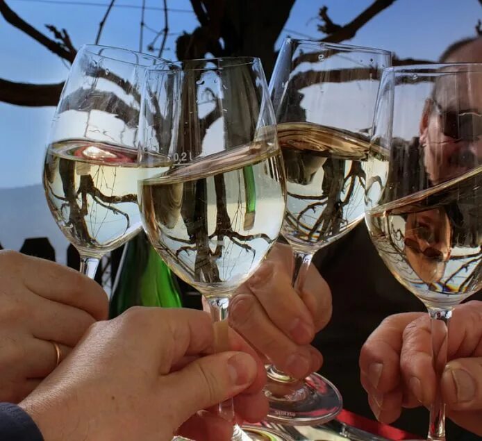 фужеры чокаются. фужеры чокаются. рука с бокалом. фужеры чокаются. бокалы для шампанского.