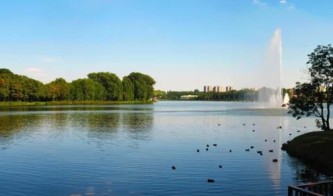 Вода парковая