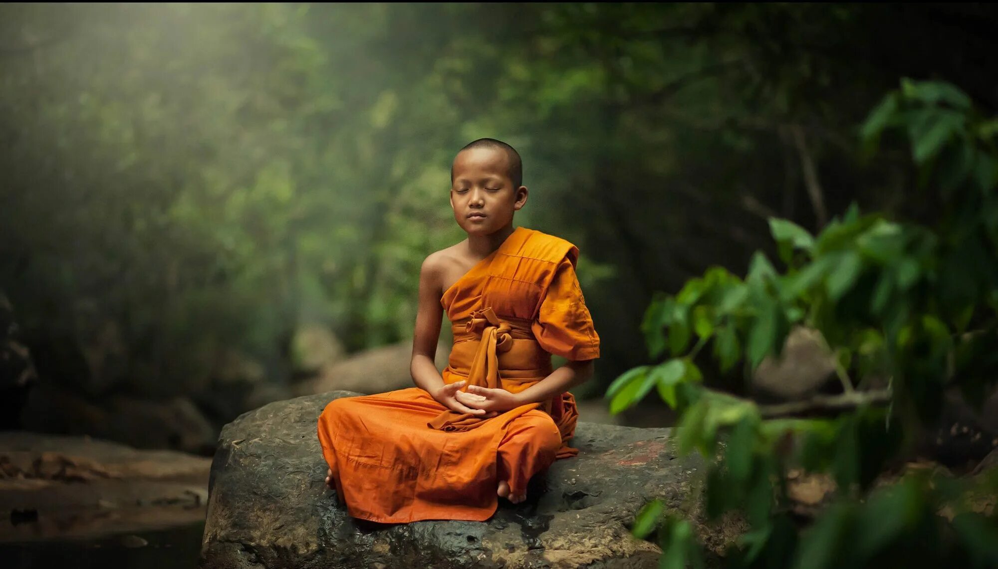 История жизни одной семьи дзен. Буддийский монах Тхеравада. Тайская медитация. Будда Анапанасати. Буддистский монах Тибет.