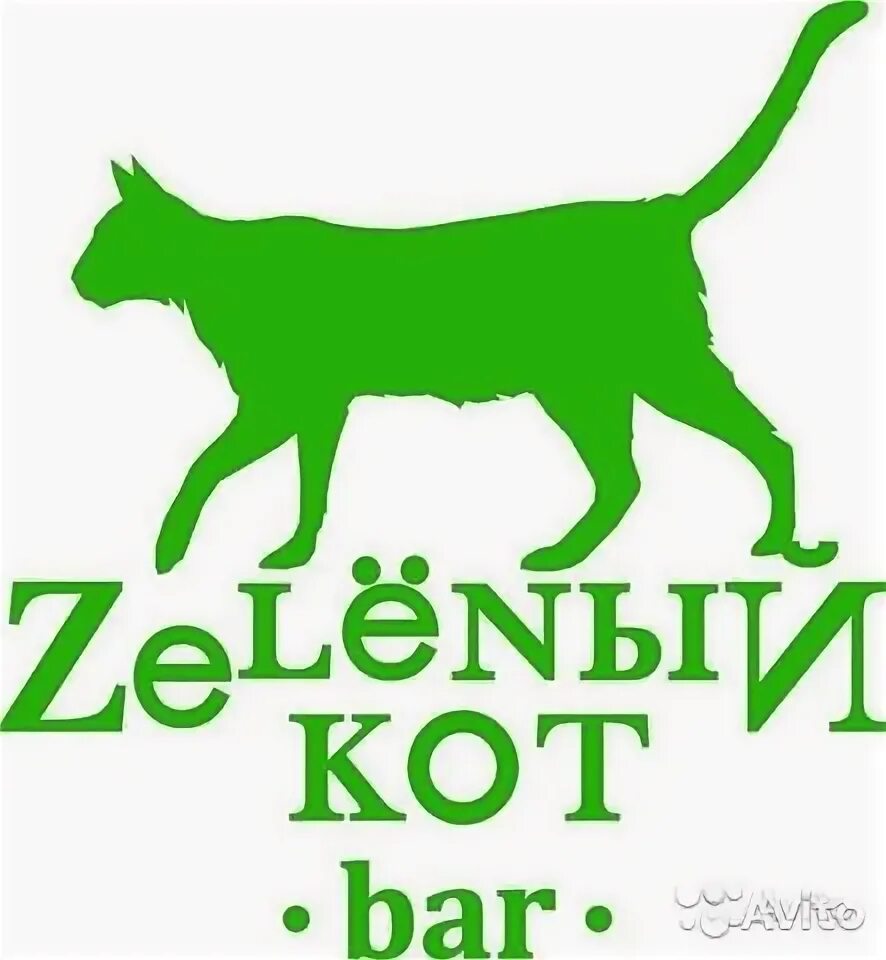 O cat. Зеленый кот бар. Ветклиника зеленый кот. Логотип ветаптеки. Ветклиника зеленый кот.