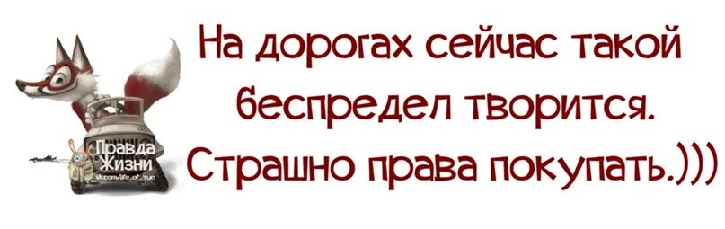 В стране творится беспредел. Юмор - хорошего понемножку. Хорошего по немножку или понемножку. Хорошего по немножку фразы. Правда жизни в картинках с юмором прикольные.