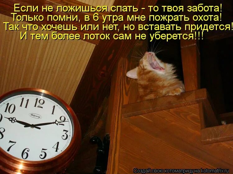 Песня не могу спать не могу есть. Уж полночь близится а ужина всё нет. Устал ложись спать. День близится к вечеру. Котоматрица часы.