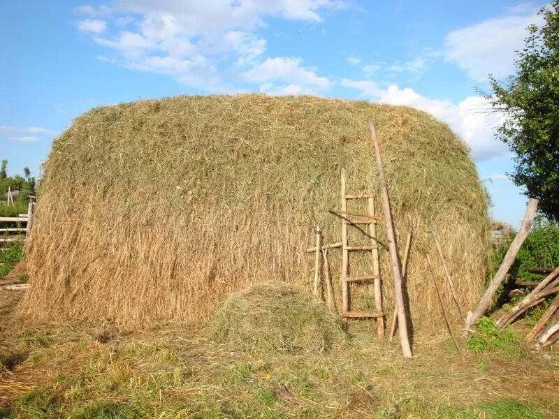 Сена длина. Сенокос Скирда. Скирда омёт копна. Хлебная Скирда. Стог соломы FS 22.