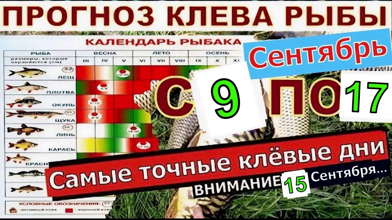 Прогноз клева рыбы в борисоглебске. Календарь клева рыбы. рыболовный календарь 2025. календарь рыбака 2025. лунный календарь клева рыбы.