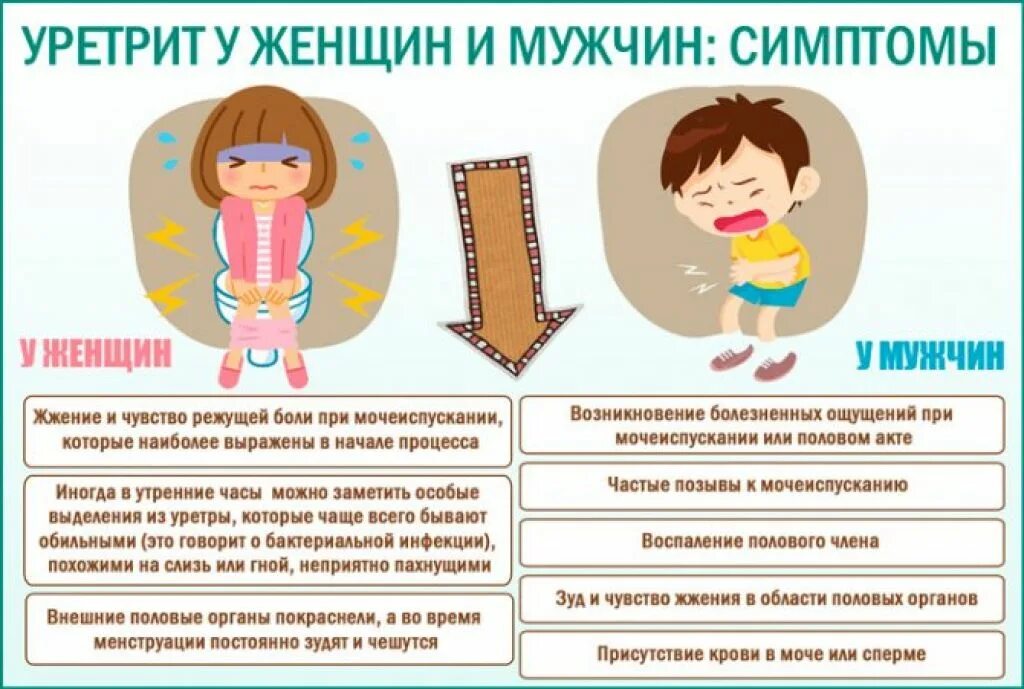Утром после мочеиспускания. Жжение после мочеиспускания у женщин причины. Признаки воспаление мочеиспускательного канала. Цистит причины симптомы. Уретрит у мужчин симптомы.